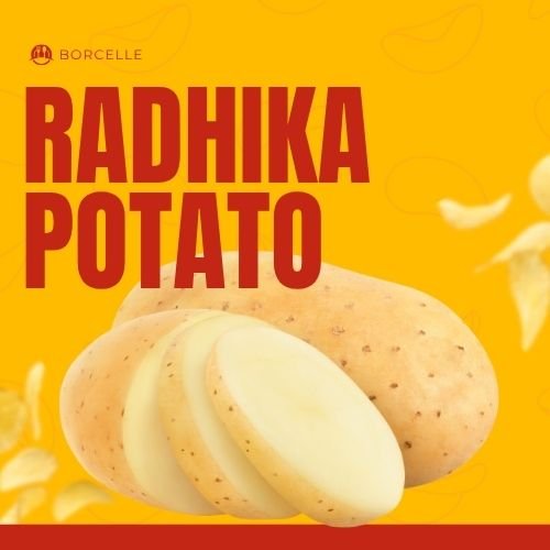 कुफरी जमुनिया, कुफरी सिन्दूरी, कुफरी मोहन, कुफरी अशोक, कुफरी थार
