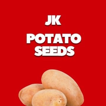 Specializing in Aeroponics Poatto Tubers. Kufri Mohan, Kufri Bharm Kufri Jyoti