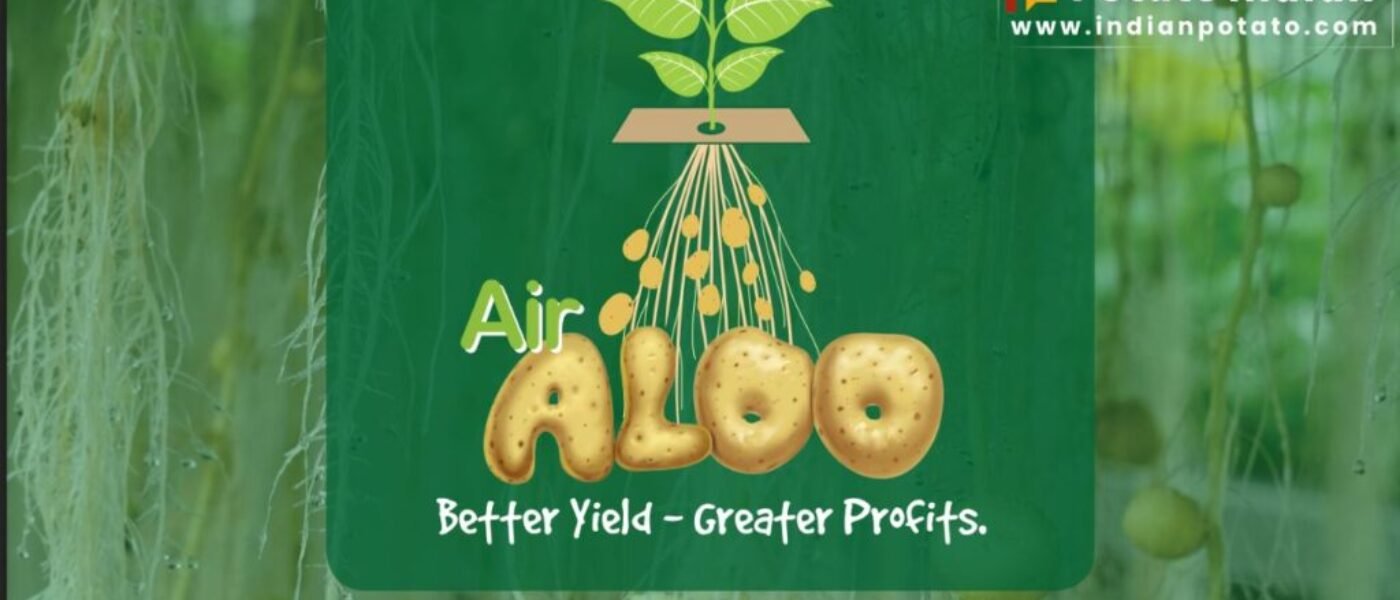 Jain Irrigation: Cultivating the Future of Potato Farming in India.