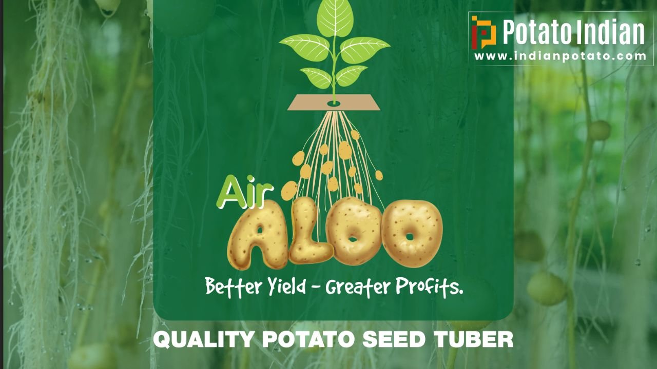 Jain Irrigation: Cultivating the Future of Potato Farming in India.